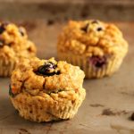 Chocolate Chip Blueberry Fiber Muffins- Low Carb and Paleo