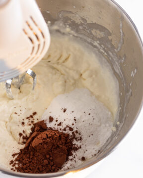 Adding cocoa powder & sweetener.
