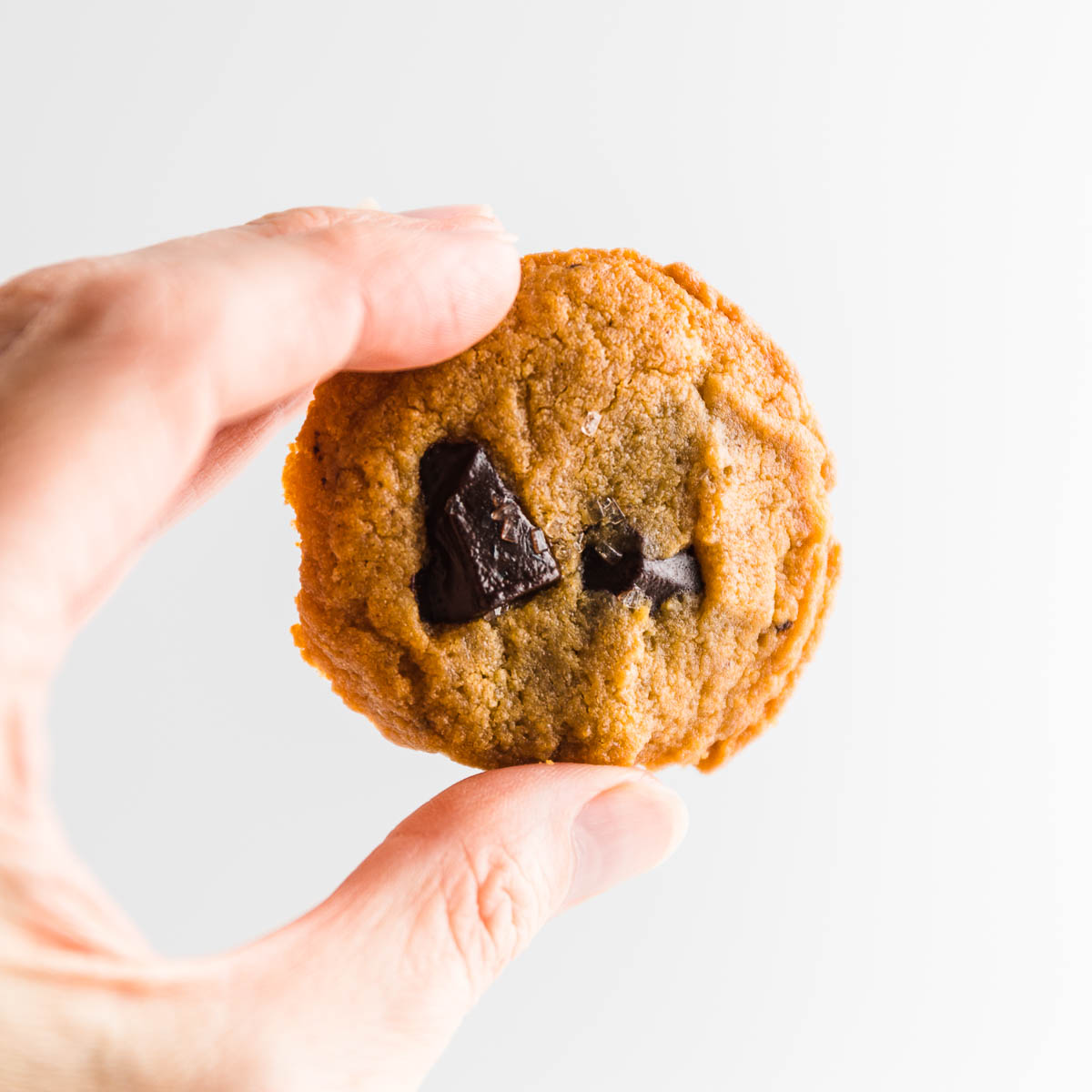 A hand holding one salted chocolate chunk peanut butter cookie.